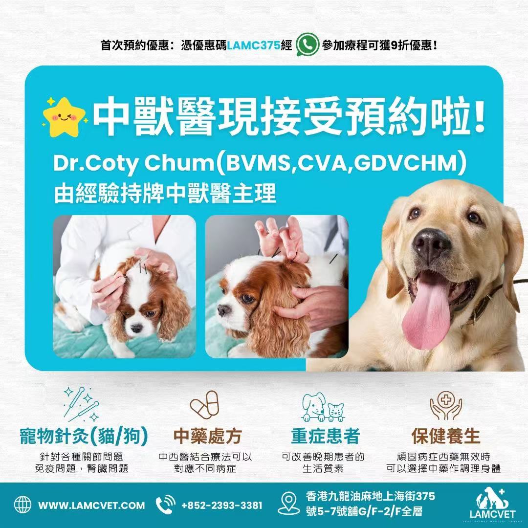 萊奧動物醫療中心寵物中獸醫